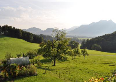 Balkonblick Altenburger Hof