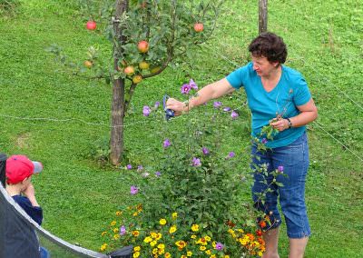 Gartenarbeit