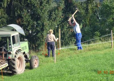 Arbeiten auf der Weide