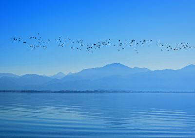 Chiemsee Urlaub