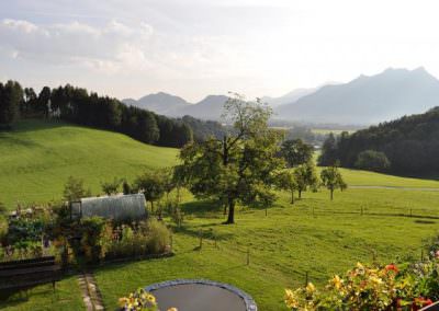 Altenburger Hof Aussicht