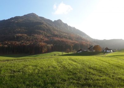 Altenburgerhof