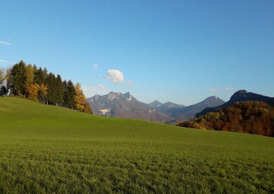 Umgebung Altenburgerhof